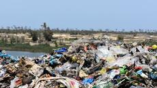 Revente illicite de déchets de volaille : Un gigantesque réseau stoppé net par la police à Malika