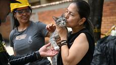 Un rêve qui se réalise: des sinistrés retrouvent leur animal de compagnie après le séisme en Colombie