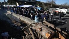 Dermatose: la colère agricole monte contre l'abattage, la vaccination élargie