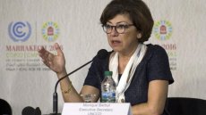Monique Barbut, une ancienne présidente de WWF à la Transition écologique