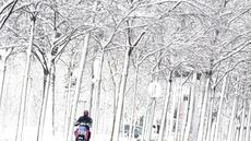 Fortes chutes de neige en Autriche: quatre morts, dont trois dans des avalanches