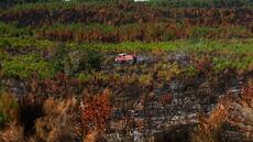 Incendies: situation stable dans le Var et en Gironde, les pompiers poursuivent leurs efforts