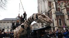 A Calais, le Varan rejoint le Dragon lors d'un spectacle féérique de machines mobiles