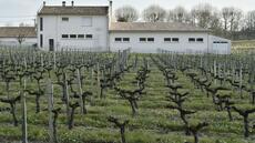 Plus de 1,7 million d'élèves soumis à une forte pression pesticide, selon un baromètre