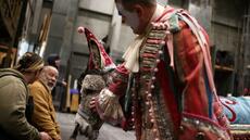 Pédicure et friandises: à l'opéra de New York, la diva est parfois un âne