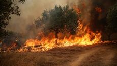 Grèce : trois personnes en détention provisoire après le mégafeu à l'ouest d'Athènes