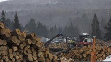 Le bois de construction et l'ameublement, nouvelles cibles des droits de douane de Donald Trump