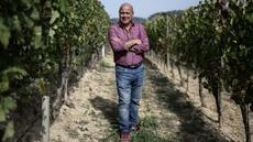 Des vendanges 5 étoiles mais des caves déjà pleines: les vignerons italiens s'interrogent