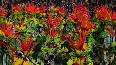 Carnaval de Rio: l'hommage à Lula finit dernier, entre autres déboires