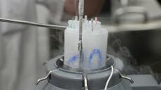 Près de 200 enfants conçus avec un donneur danois porteur d'un risque de cancer