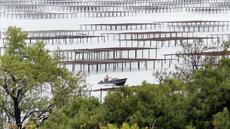 Hérault: les coquillages de l'étang de Thau de retour sur les étals après la fin de la contamination