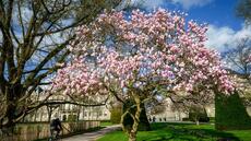 Municipales: moins de voitures, plus de vélos, on continue?