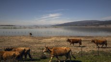 Grèce: vaste coup de filet en lien avec une fraude systématique aux aides agricoles européennes