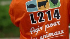 Broyage de poussins: L214 porte plainte contre un couvoir des Deux-Sèvres