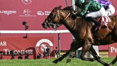 Prix de l'Arc de Triomphe : victoire du cheval Daryz pour la famille Aga Khan