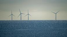 Le gouvernement Trump suspend tous les grands projets d'éolien en mer aux Etats-Unis