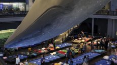 Soirée pyjama avec les dinosaures du musée d'histoire naturelle de New York