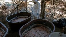 De l'Afrique australe à l'Australie, la nouvelle route de la meth du cartel de Sinaloa