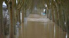 La France en crue généralisée, évacuations localisées près de la Garonne