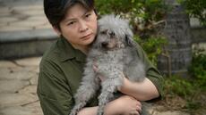 A Hong Kong, l'angoisse des propriétaires d'animaux de compagnie piégés dans les flammes