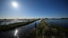 Pluies records, infrastructures en jachère: quand la pampa argentine se noie