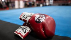La boxe pourrait disparaître au Japon si elle ne réagit pas après la mort de deux boxeurs, selon un responsable
