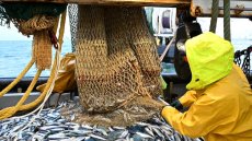 A bord du Nicolas-Jérémy, la dernière génération d'une lignée de pêcheurs