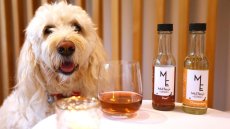 Nouvelle-Zélande: du vin sans alcool pour animaux, une idée qui a du chien