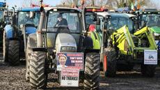 Irlande: des milliers d'agriculteurs manifestent contre l'accord UE-Mercosur