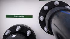 Hauts-de-France: une ONG alerte sur une pollution de l'eau au fongicide