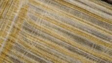 Taxe carbone: l'UE aménage son dispositif pour les engrais face à la crise agricole