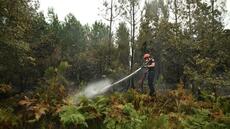 La bataille contre le feu continue dans les Landes, la lutte au sol privilégiée dimanche