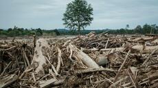 En Indonésie, les inondations conduisent à pointer le rôle de la déforestation