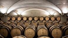 Vins: en France, les enchères de Beaune sous de fâcheux auspices