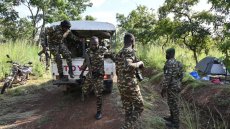 Après le saccage et la curée, le retour à la vie du parc ivoirien de la Comoé