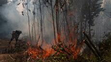Incendies au Chili: situation toujours critique, des quartiers entiers ravagés