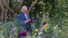 Charles III s'inquiète du recul du combat contre le changement climatique