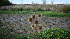 France: 66% des nappes phréatiques sous les normales, situation très préoccupante, selon le service géologique national
