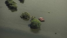 Des grands-parents rescapés des inondations au Mexique, symbole d'espoir