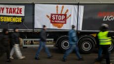 Mercosur: l'UE compte bientôt signer l'accord