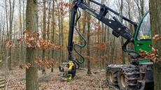 Bois plutôt que pétrole: le pari d'un industriel face à la crise de la chimie allemande