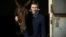 Les meilleurs trotteurs du monde à la conquête de l'Amérique