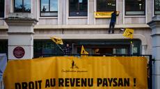 Action coup de poing de la Confédération paysanne à Paris, 50 gardes à vue