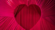 Profession entremetteur: dans le nord du Nigeria, le succès fulgurant des marieurs 2.0