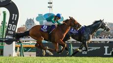 Le pur-sang Calandagan meilleur cheval de course au monde