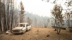 Feux de forêt en Patagonie argentine: le gouvernement déclare l'urgence incendies