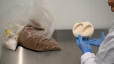 Fini la pétrochimie: à Bruxelles, des emballages à base de champignons