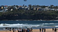 Un surfeur tué par un grand requin en Australie