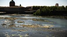 Alerte sécheresse renforcée pour la Garonne, nouvelles restrictions d'usage de l'eau