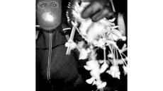 Enlèvement de la mère d'une journaliste télé: le FBI publie les images d'un individu masqué